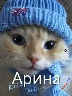 Топ самих класних картинок з ім'ям аріна, Аріша, Арішка, картинки з іменами (картинок) Топ самих класних картинок з ім'ям аріна, Аріша, Арішка, картинки з іменами