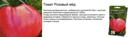 Томат рожевий мед способи вирощування томата (рожевий) Томат рожевий мед способи вирощування томата