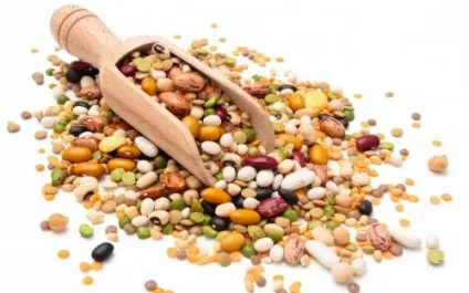 Топ-10 продукти, які допомагають швидко прибрати жир з живота (живіт) Топ-10 продукти, які допомагають швидко прибрати жир з живота