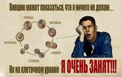 Ти не дуже зайнятий