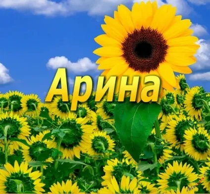 Топ самих класних картинок з ім'ям аріна, Аріша, Арішка, картинки з іменами (самих) Топ самих класних картинок з ім'ям аріна, Аріша, Арішка, картинки з іменами