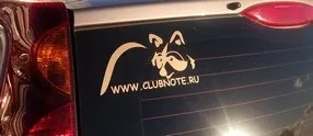 Тюнінг - що це таке bumper-stickers наклейки на авто машину (смішні наклейки на машини) Тюнінг - що це таке bumper-stickers наклейки на авто машину