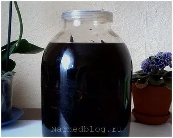 Трава чемериця корисні властивості, опис, застосування, фото (трава чемериця) Трава чемериця корисні властивості, опис, застосування, фото