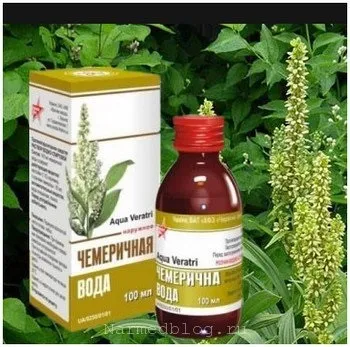 Трава чемериця корисні властивості, опис, застосування, фото (трава чемериця) Трава чемериця корисні властивості, опис, застосування, фото