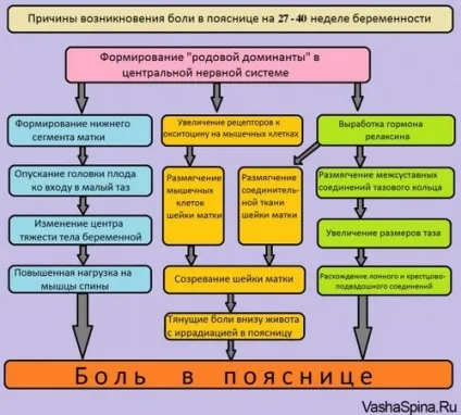 Тягне поперек при вагітності на 32 тижні (вагітності) Тягне поперек при вагітності на 32 тижні