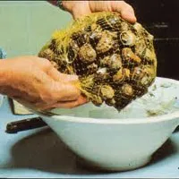 Равлики і як їх готувати