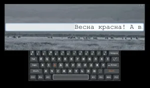 Вчимося швидко друкувати на клавіатурі (швидко) Вчимося швидко друкувати на клавіатурі