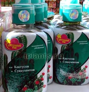 Добрива для кактусів і сукулентів (кактусів) Добрива для кактусів і сукулентів