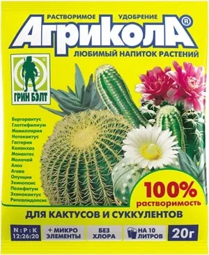 Добрива для кактусів склад, приготування та внесення (вносити добрива кактусів) Добрива для кактусів склад, приготування та внесення