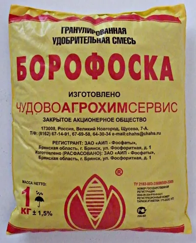 Добрива для помідорів у відкритому грунті яке краще для розсади, під час цвітіння, фосфорні,