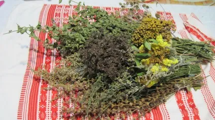 укуси клопів