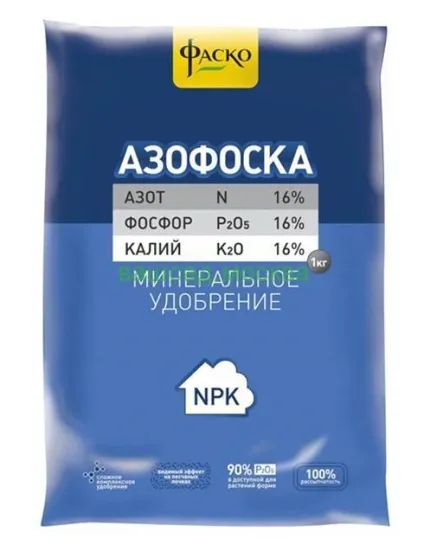 Добриво азофоска - застосування для огірків (огірків) Добриво азофоска - застосування для огірків