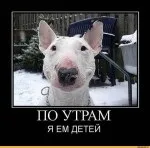 Усиновити дитину сестри (громадянка молдови) - форум прийомних батьків `в сім'ю! `(Депортують разом дитиною) Усиновити дитину сестри (громадянка молдови) - форум прийомних батьків `в сім'ю! `