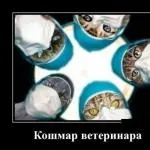 У мене дружина лежить в лікарні (дружина) У мене дружина лежить в лікарні