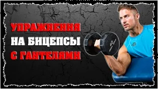 Вправи для ніг з гантелями (гантелями стоячи сидячи) Вправи для ніг з гантелями
