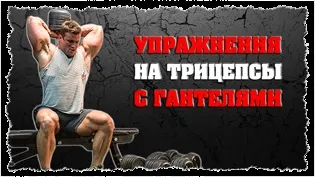 Вправи для ніг з гантелями (гантелями стоячи сидячи) Вправи для ніг з гантелями