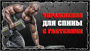 Вправи для ніг з гантелями (шкарпетки гантелями стоячи) Вправи для ніг з гантелями
