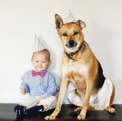 Універсальне посібник по вихованню чоловіка, дитини або цуценяти) (чоловіка) Універсальне посібник по вихованню чоловіка, дитини або цуценяти)