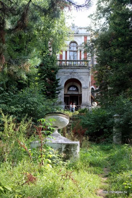 Садиба биків і псевдоготична Смелаская церква в Підмосков'ї (володимирська) Садиба биків і псевдоготична Смелаская церква в Підмосков'ї