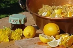 Варення з кульбаб користь і шкода - рецепти здоров'я (шкода) Варення з кульбаб користь і шкода - рецепти здоров'я