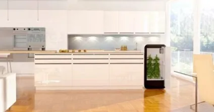 Пристрій для вирощування конопель leaf купити, ціни, відгуки, фото, відео (leaf) Пристрій для вирощування конопель leaf купити, ціни, відгуки, фото, відео