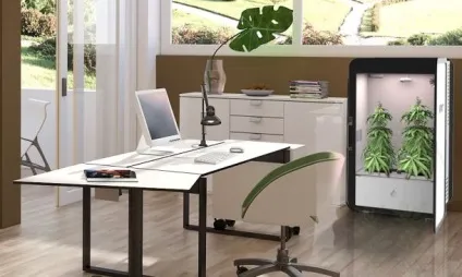 Пристрій для вирощування конопель leaf купити, ціни, відгуки, фото, відео (leaf) Пристрій для вирощування конопель leaf купити, ціни, відгуки, фото, відео