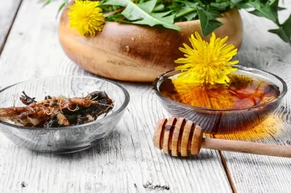 Варення з кульбаб як приготувати і чим корисне (корисно) Варення з кульбаб як приготувати і чим корисне