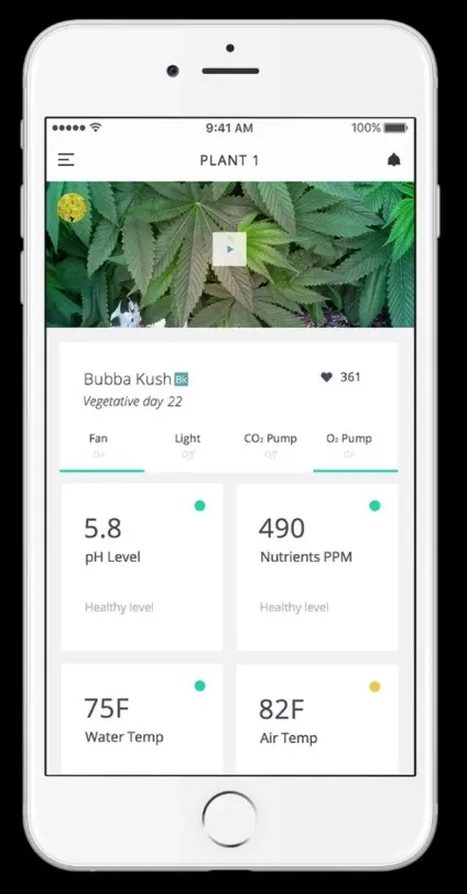 Пристрій для вирощування конопель leaf купити, ціни, відгуки, фото, відео (leaf) Пристрій для вирощування конопель leaf купити, ціни, відгуки, фото, відео