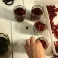 Реп'яхову олію для волосся - користь і шкода - застосування (волосся) Реп'яхову олію для волосся - користь і шкода - застосування