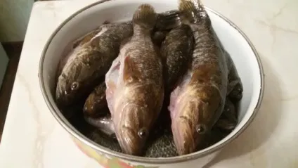 Рецепт приготування ротана або смажений ротан, рибалимо разом (приготування) Рецепт приготування ротана або смажений ротан, рибалимо разом