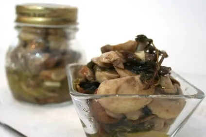 Рецепти, як маринувати і коптити гриби парасольки в домашніх умовах рецепти на зиму (гриби) Рецепти, як маринувати і коптити гриби парасольки в домашніх умовах рецепти на зиму