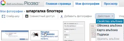 Веб-альбом picasa з нуля - приклади