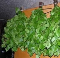 Гілковий корм - як стати кролівників (містять значні кількості) Гілковий корм - як стати кролівників