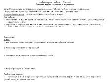 Видозмінені підземні пагони