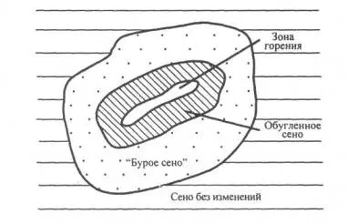 Речовини і матеріали, схильні до самозаймання
