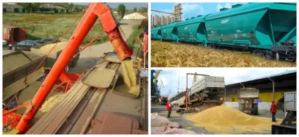 Види і правила перевезення зерна (перевезення) Види і правила перевезення зерна