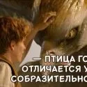Вийшов трейлер «вкраденого Голлівудом» українського «марсіанина», новини, світ фантастики і фентезі (марсіанина) Вийшов трейлер «вкраденого Голлівудом» українського «марсіанина», новини, світ фантастики і фентезі