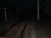 Вінницький пуголовок v