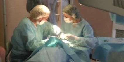 Вивих та підвивих кришталика симптоми, діагностика та лікування (вивих і підвивих кришталика) Вивих та підвивих кришталика симптоми, діагностика та лікування