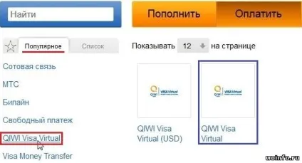 Visa virtual