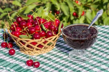 Вишня звичайна лікувальні властивості в народних рецептах, в саду () (відвари з вишнею) Вишня звичайна лікувальні властивості в народних рецептах, в саду ()