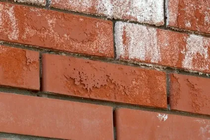 Висоли на цеглі причини і способи усунення (цеглі) Висоли на цеглі причини і способи усунення