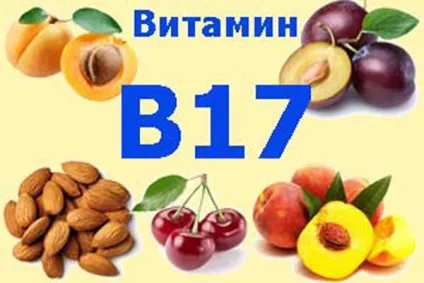 Вітамін В17 (амигдалин) - самий суперечливий і загадковий вітамін (вітамін) Вітамін В17 (амигдалин) - самий суперечливий і загадковий вітамін