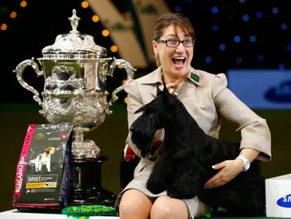 Виставка собак crufts dog show 2015 року, фото новини (фото) Виставка собак crufts dog show 2015 року, фото новини
