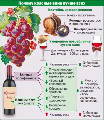 Вино корисніше горілки воно захищає серце і уповільнює старіння, правильне харчування, здоров'я, (корисні продукти) Вино корисніше горілки воно захищає серце і уповільнює старіння, правильне харчування, здоров'я,