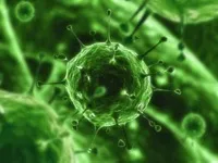 Водянистий пронос, як вода у дорослого (пронос) Водянистий пронос, як вода у дорослого