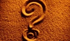 В якому італійському місті була виведена відома порода кімнатних собак