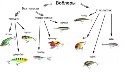 Воблери на щуку рейтинг топ-10 найкращих уловистих і бюджетних для лову круглий рік (відео) (воблери) Воблери на щуку рейтинг топ-10 найкращих уловистих і бюджетних для лову круглий рік (відео)