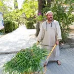 У Херсонесі знімають фільм «перш ніж заспіває півень» - державний історико-археологічний (перш) У Херсонесі знімають фільм «перш ніж заспіває півень» - державний історико-археологічний