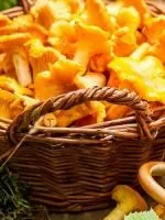 В'ялений кумкват - корисні властивості